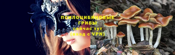 ешки Зеленокумск