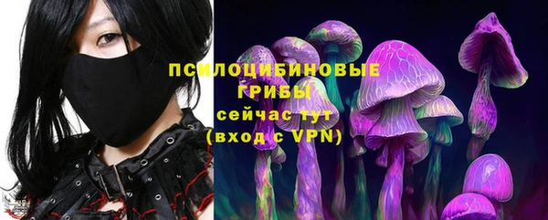хмурый Фурманов