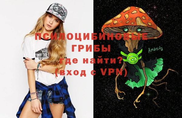 ешки Зеленокумск