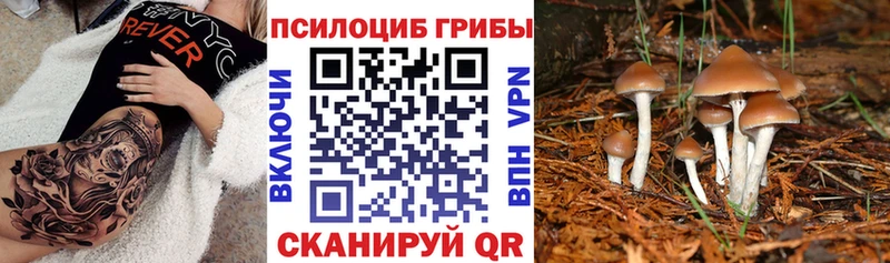 Галлюциногенные грибы MAGIC MUSHROOMS  Купить закладки  Славгород 